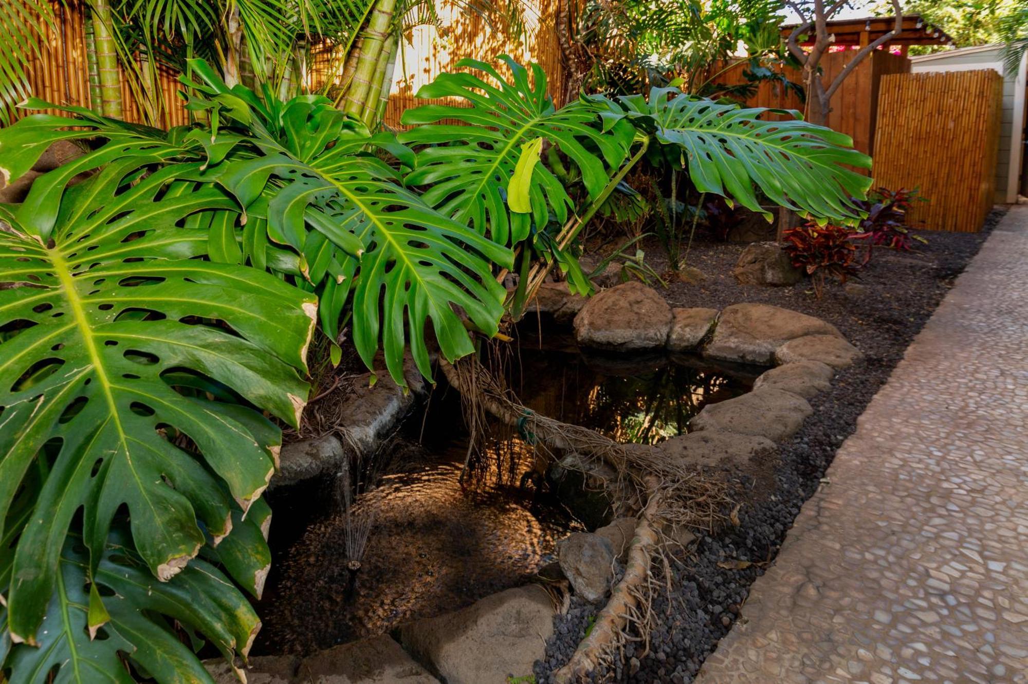 Orchid Suite, 1 Bedroom, Sleeps 4, Pool & Bbq, Pre-Renovation Summer Sale Kihei Exterior photo