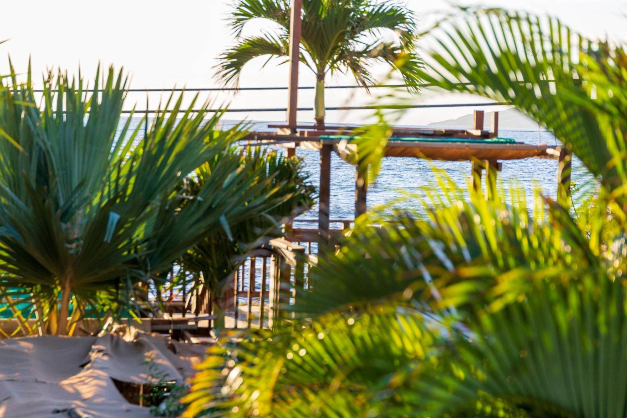 Orchid Suite, 1 Bedroom, Sleeps 4, Pool & Bbq, Pre-Renovation Summer Sale Kihei Exterior photo