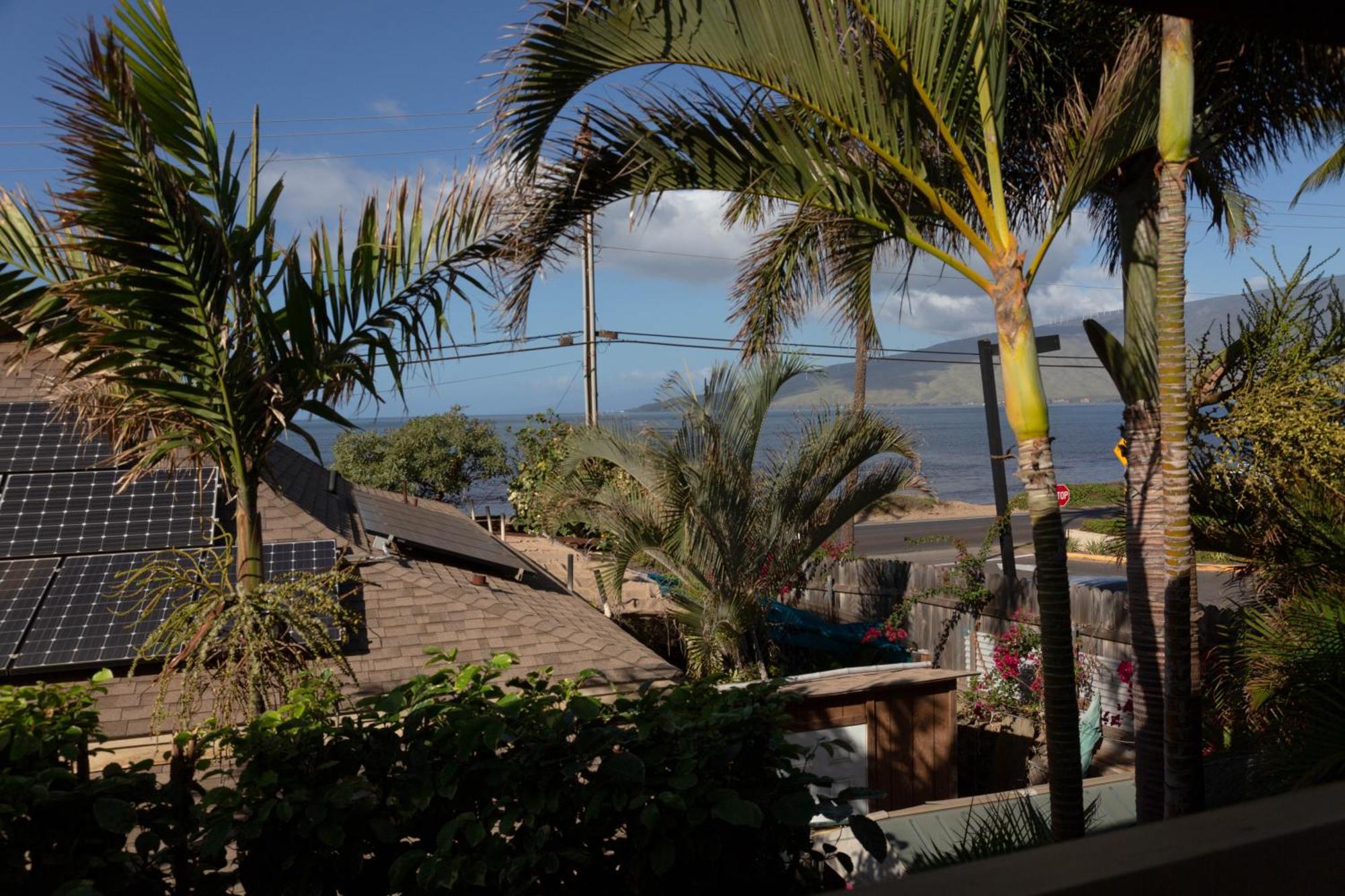 Orchid Suite, 1 Bedroom, Sleeps 4, Pool & Bbq, Pre-Renovation Summer Sale Kihei Exterior photo